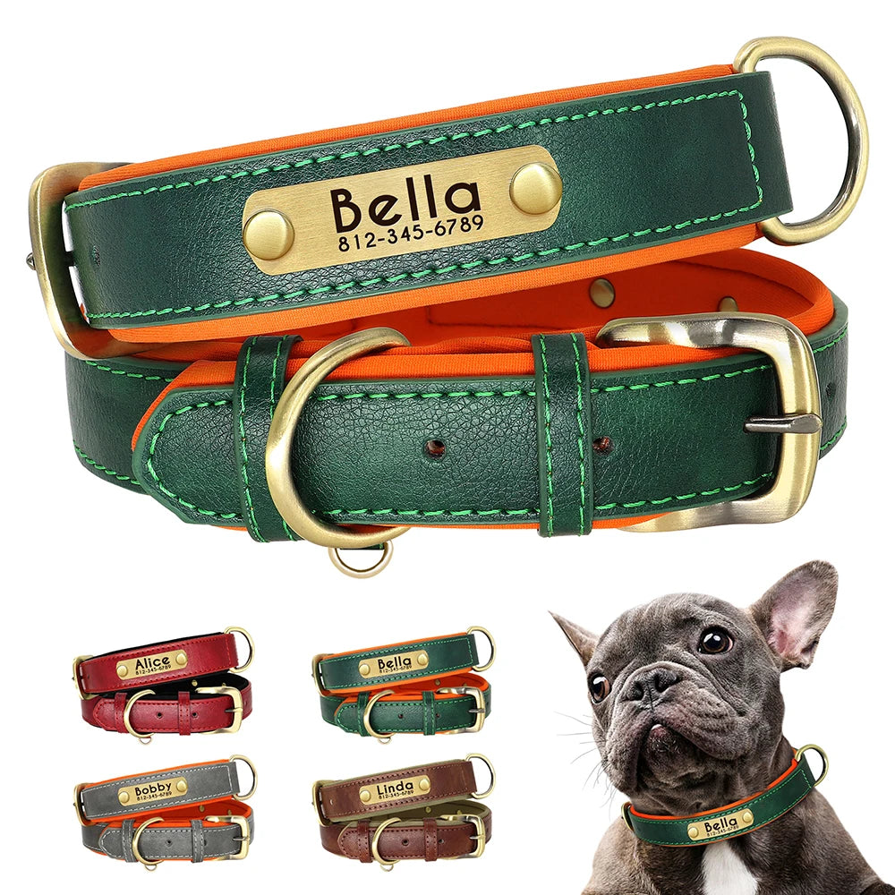 Custom Leather ID Nameplate Collar Soft Padded Comfort Adjustable with FREE Name Engraving Perfect for Small Medium Large Cats and Dogs