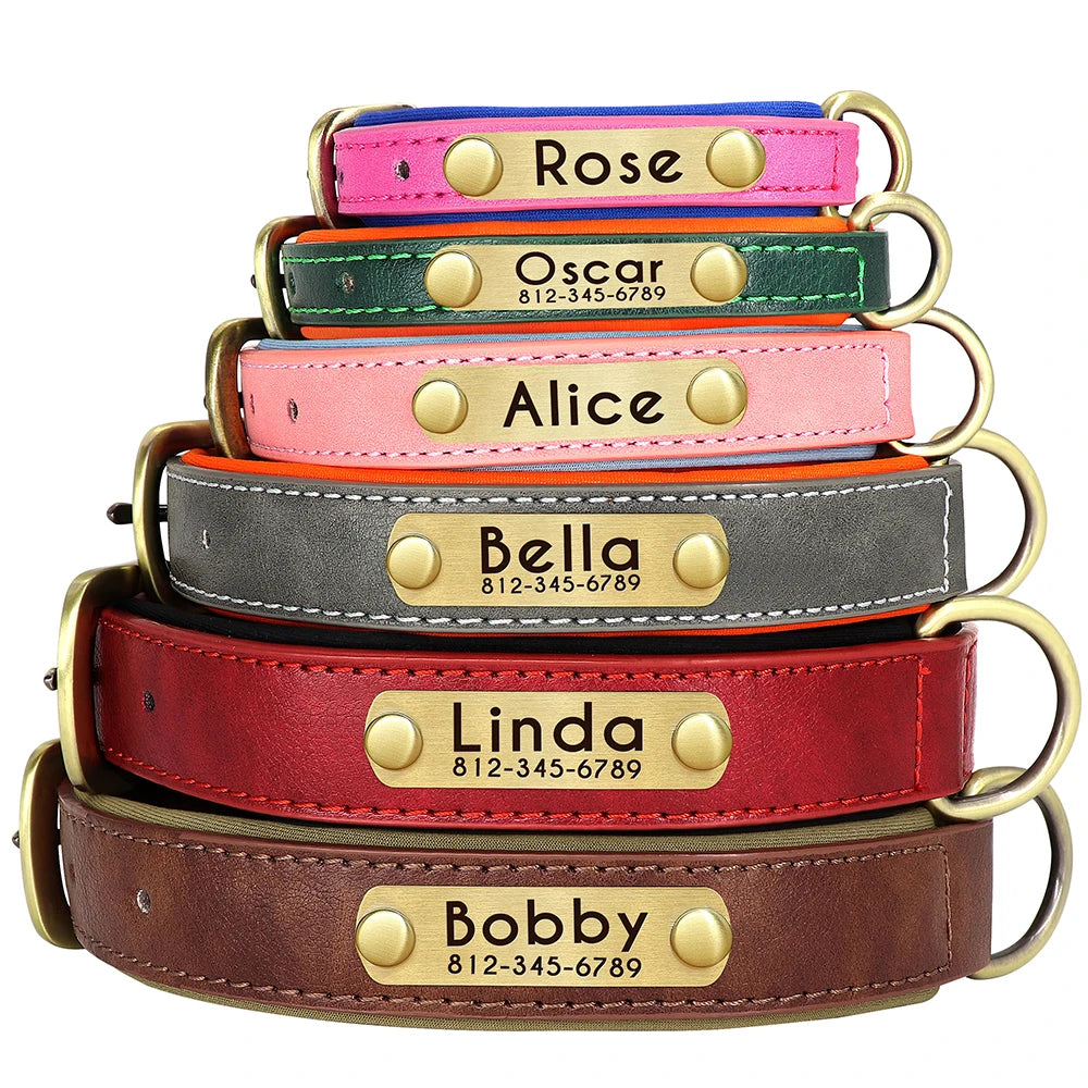 Custom Leather ID Nameplate Collar Soft Padded Comfort Adjustable with FREE Name Engraving Perfect for Small Medium Large Cats and Dogs