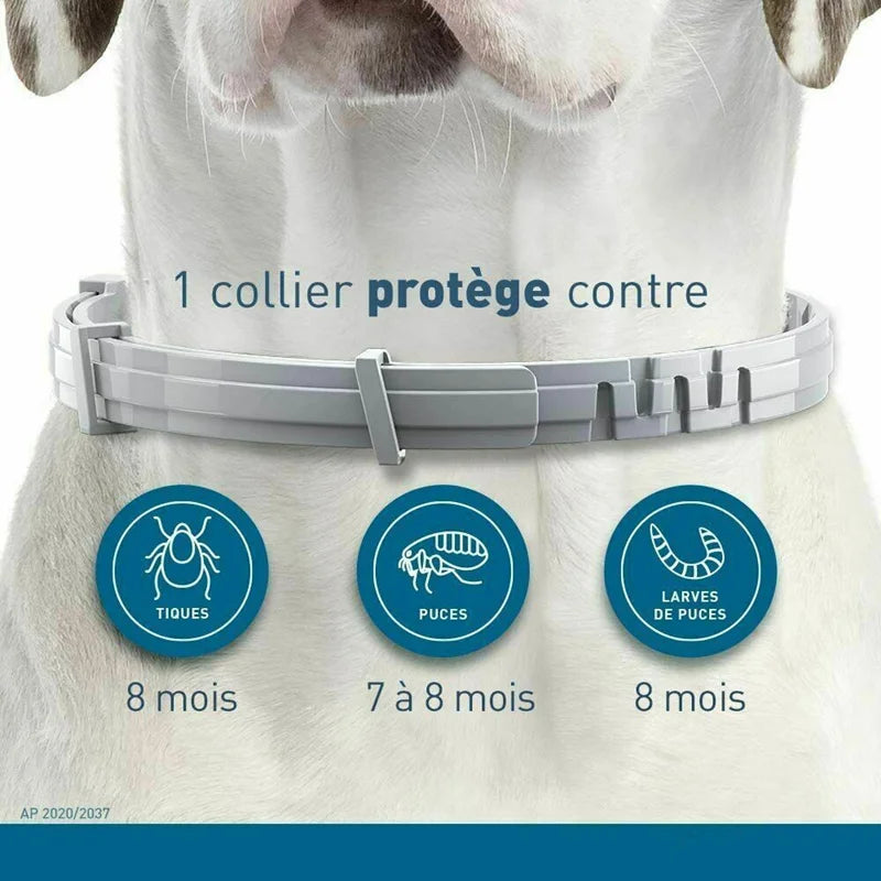 Anti Flea and Ticks Collar with 8-12 Month Protection Pet Collars For Puppy Cat Large Dogs *ALL NATURAL INGREDIENTS*