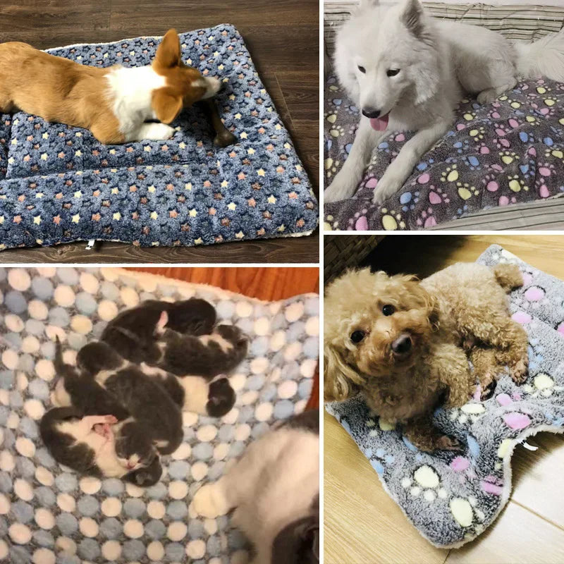 Pet Bed and Blanket Sleeping Mat Dog Bed Cat Bed Soft Hair Thickened Blanket Pad Fleece Home Washable Warm Pattern Blanket Pet Supplies