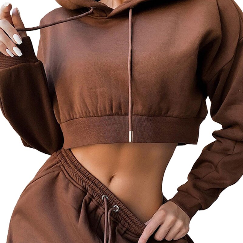 Tracksuit Women Two Piece Set Hoodies Sweatshirt + Sweatpants Jogger Pant Sportswear