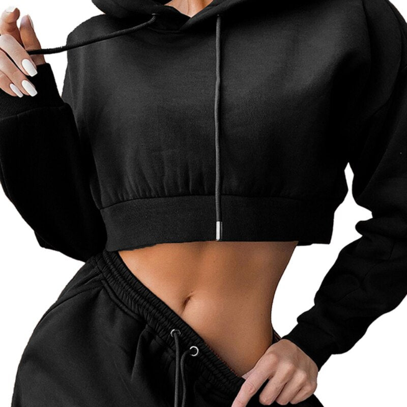 Tracksuit Women Two Piece Set Hoodies Sweatshirt + Sweatpants Jogger Pant Sportswear